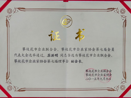 2015-企業聯合會(huì)副會(huì)長(cháng)